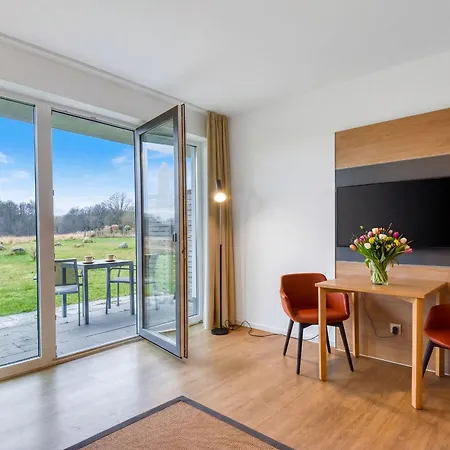 Graureiher 18 Im Wreecher Idyll Ruegen Putbus