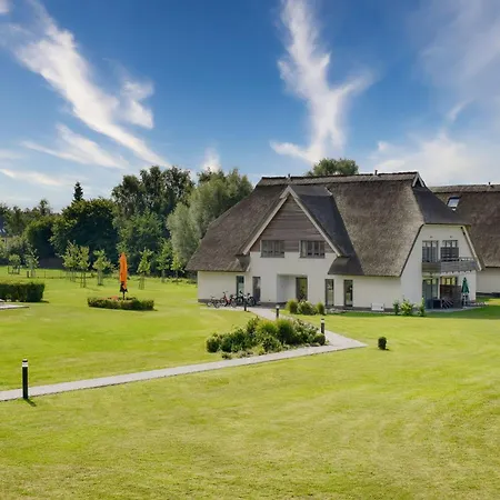 Graureiher 18 Im Wreecher Idyll Ruegen *